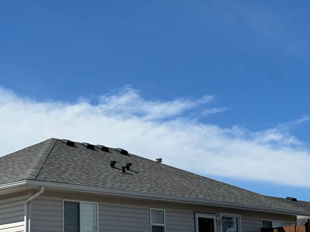 Best Roof Leak Repair  in , MA
